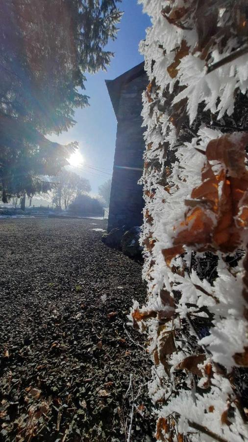 Вілла Les 12 Bois Du Cerf Tailles Екстер'єр фото